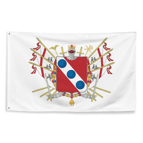Bandiera - Stemma di Camaiore