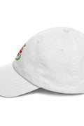 Cappellino Reggio Emilia Stemma Blasone