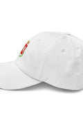 Cappellino Perugia Stemma Blasone