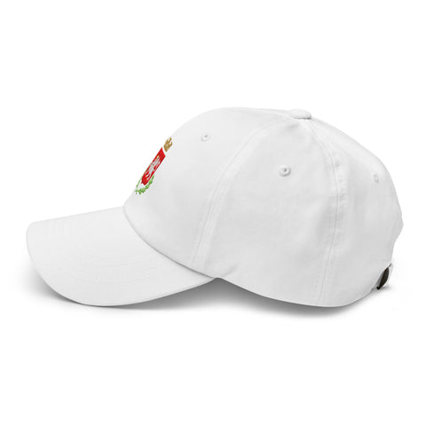 Cappellino Perugia Stemma Blasone